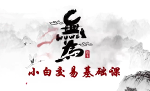 无为课堂小白交易实战班《交易盘口》