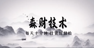 蔡森2022年8月技术课森财技术会员专享视频