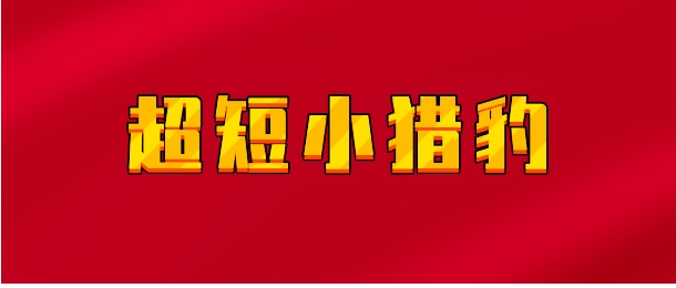 【实时同步】超短小猎豹
