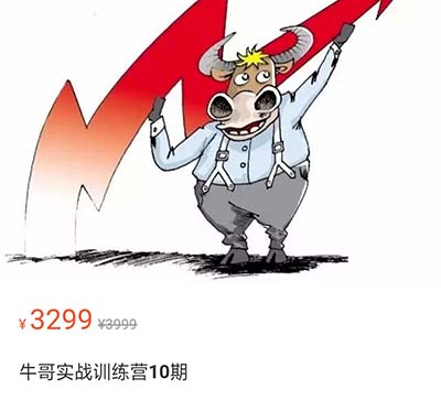 牛哥实战训练营第11期