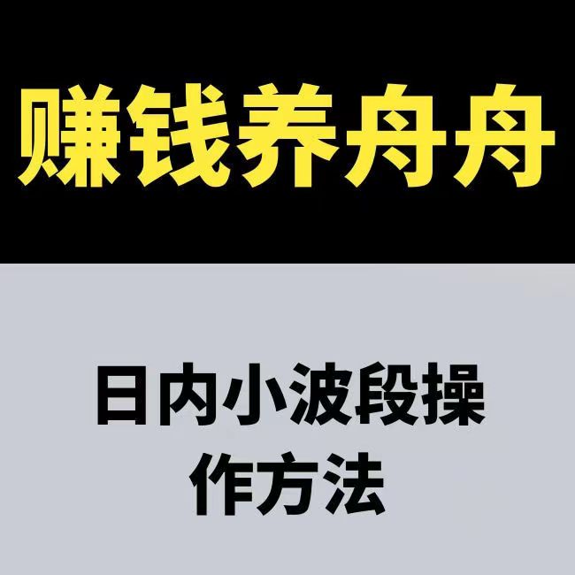 赚钱养舟舟 日内小波段操作方法 期货课程
