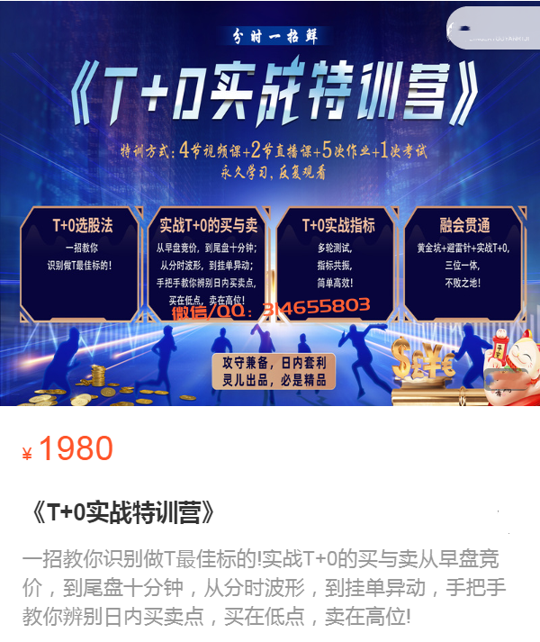 灵儿独创：T+0实战特训营《完结》