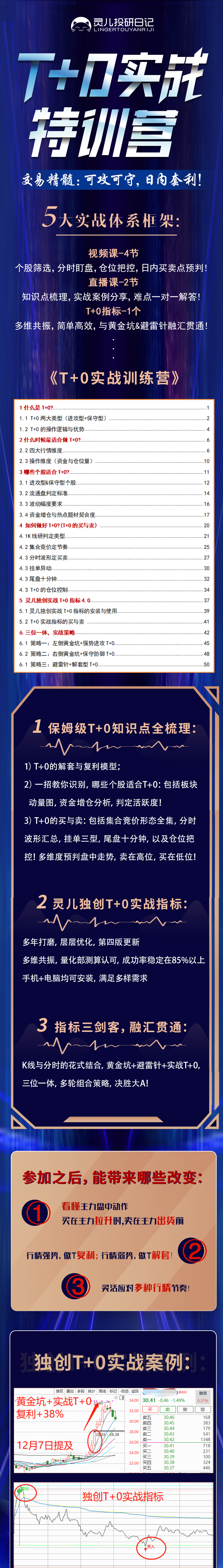 31105051584 31105051584