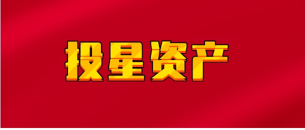 【实时同步】投星资产