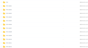 【骑行客私密订阅】2022年铁骑私密订阅《刊外》 103文档