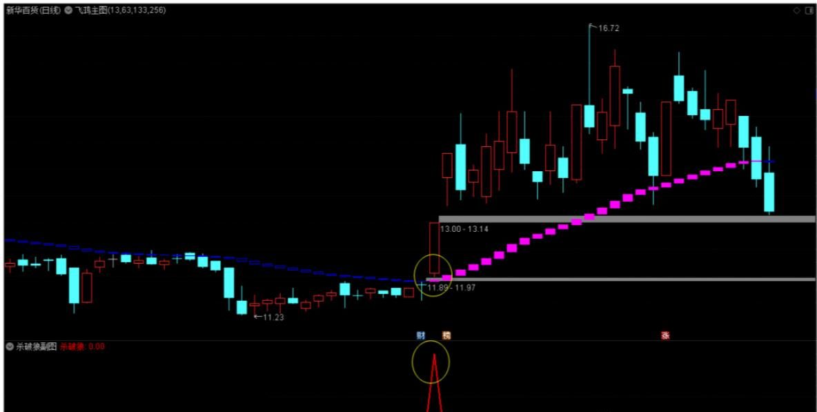 211710tmgnmjtzr5ppwx39 211710tmgnmjtzr5ppwx39