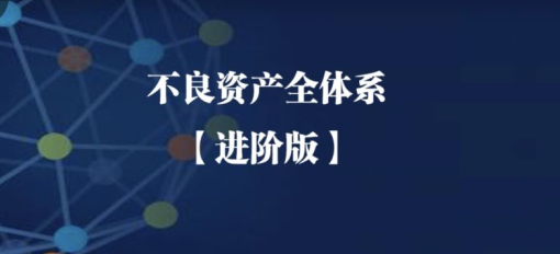 不良资产全体系 进阶版课程