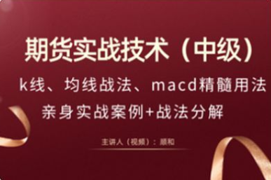 顺和博士-期货实战精华技术－（进阶级）