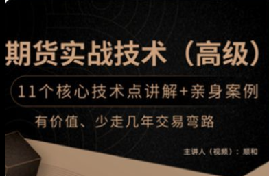 顺和博士-期货实战精华技术 （高级）