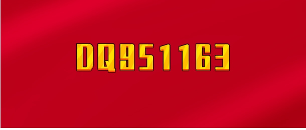 【实时同步】DQ951163 中长线大神