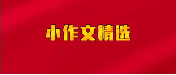 【实时同步】小作文精选