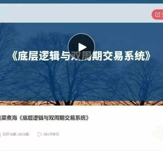 韭菜煮海《底层逻辑与双周期交易系统》音频课