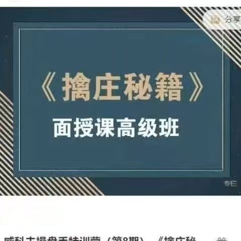 孟洪涛威科夫操盘手特训营（第8期） 《擒庄秘籍》面授课高级班