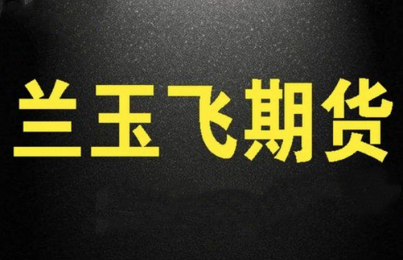 兰玉飞 三节课学会期货趋势交易系统视频课程