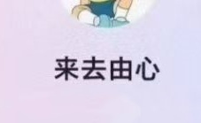 2026年B站.来去由心股票课程充电视频