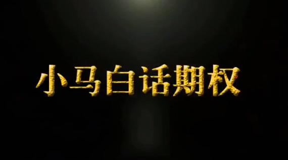 小马白话期权【第1季】