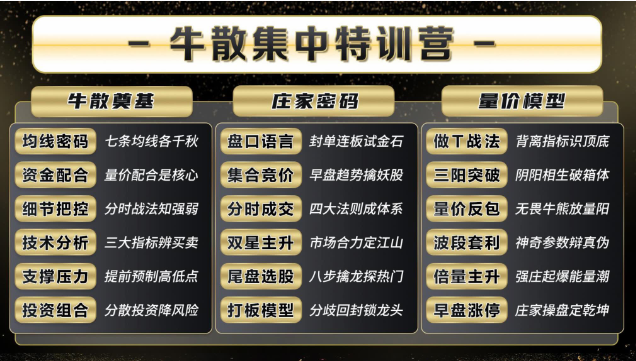 2025年袁博牛散特训营视频+资料+指标