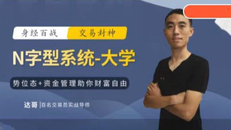 达哥N字交易系统小学、中学、大学合集